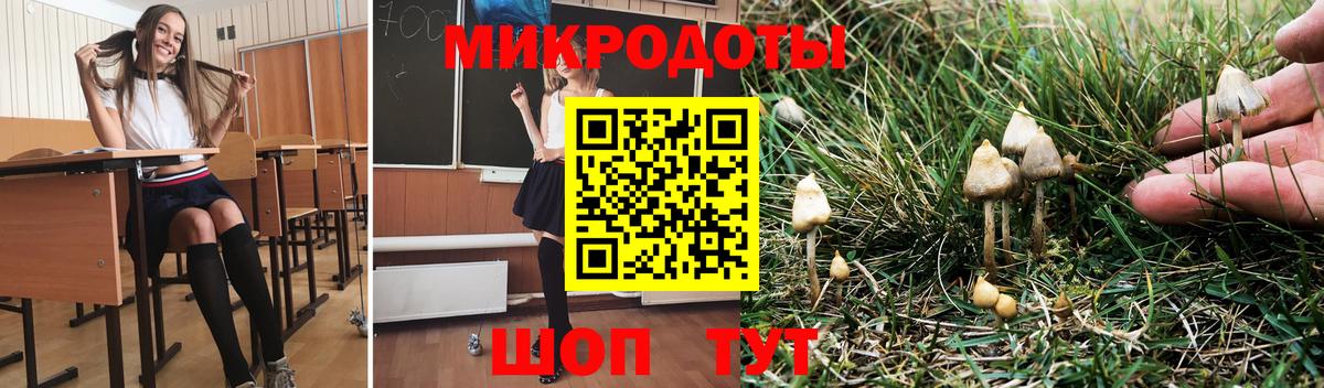 как найти закладки  Псилоцибиновые грибы Magic Shrooms  Вход с VPN  Мичуринск 
